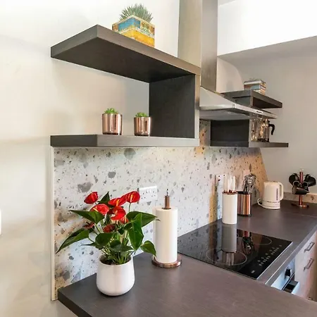 公寓 Executive 2 Bedroom Loft Style